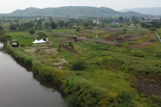 Paloma , Adhale Bk Maval