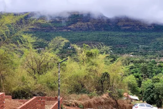 SATVAM HILLS