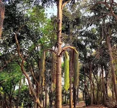SATVAM HILLS